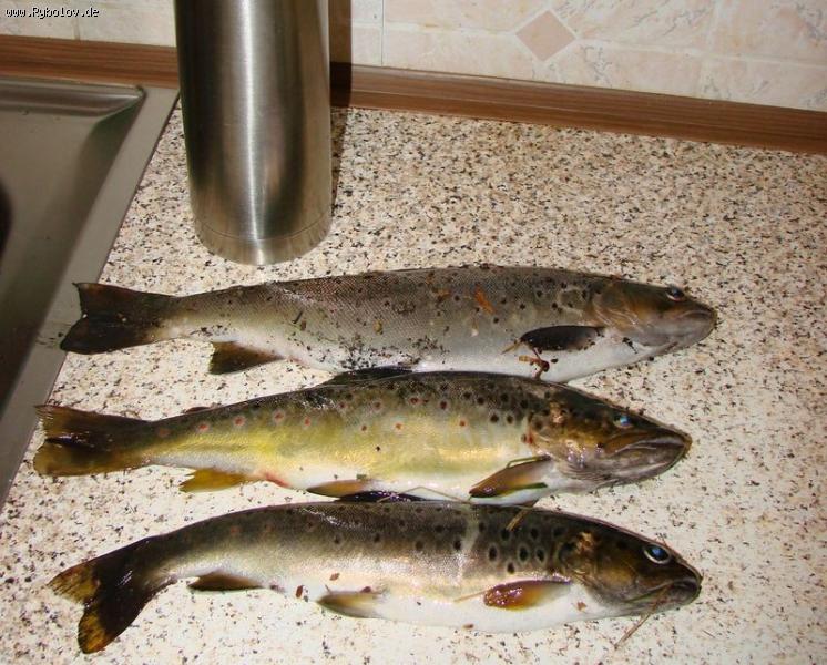 --����� ������... - ������� (����������)