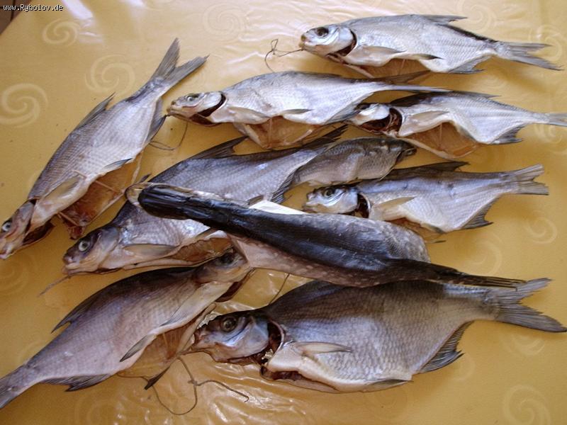 --Autobahnsee (ULOV) -  ()