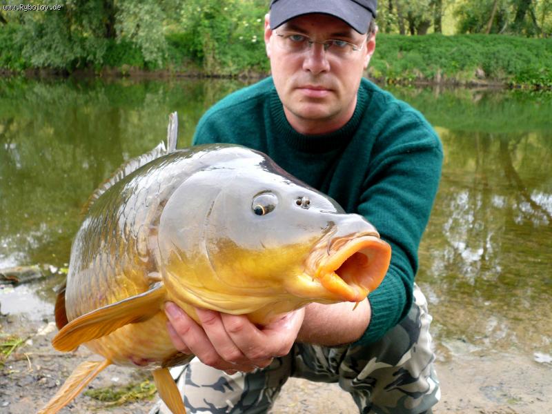 --���� - ������� (����������)