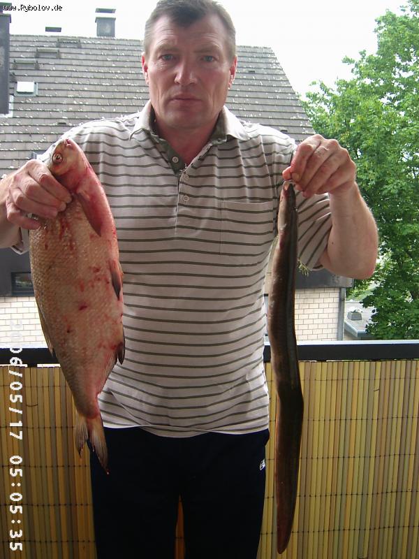 --Prosto ryby -  ()
