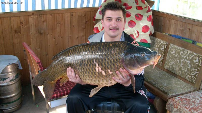 --������� - ������� (����������)