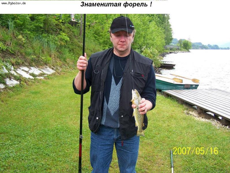 --Форель всегда радует глаз ! - рыбалка (фотоальбом)