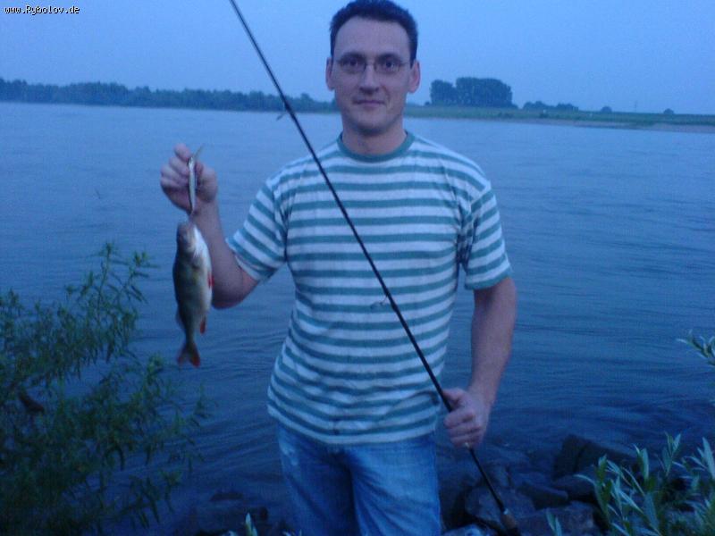 --Barsch, Rhein -  ()
