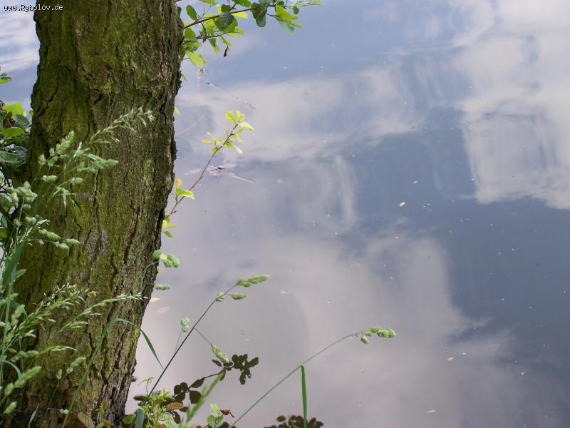 --����� ���� � ����.... - ������� (����������)