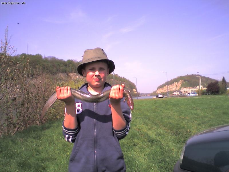 --��� ������ ����. - ������� (����������)