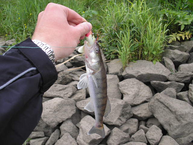 --�� � ��� 20-�� ����� - ������� (����������)