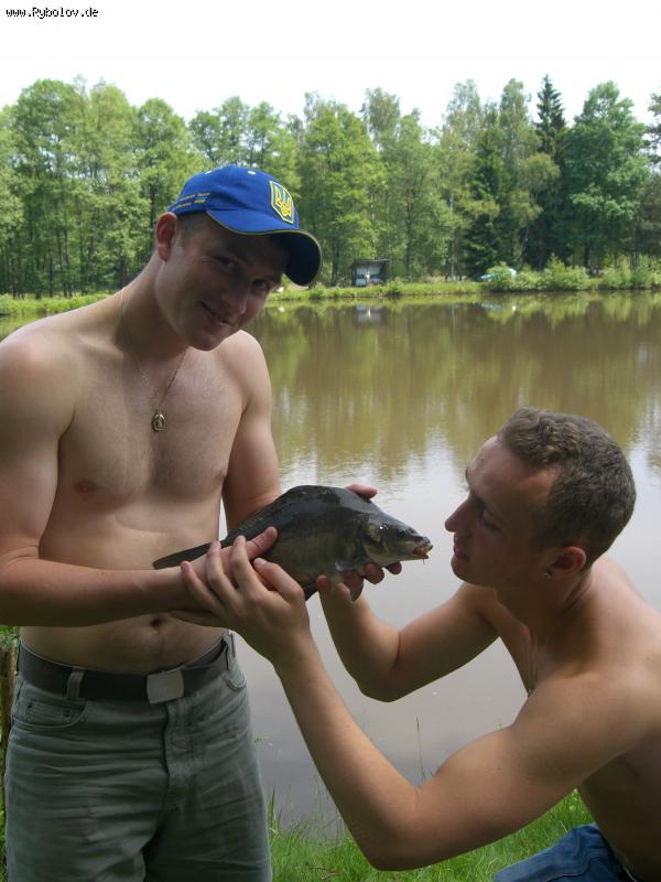 --������ �������-���� ����! - ������� (����������)