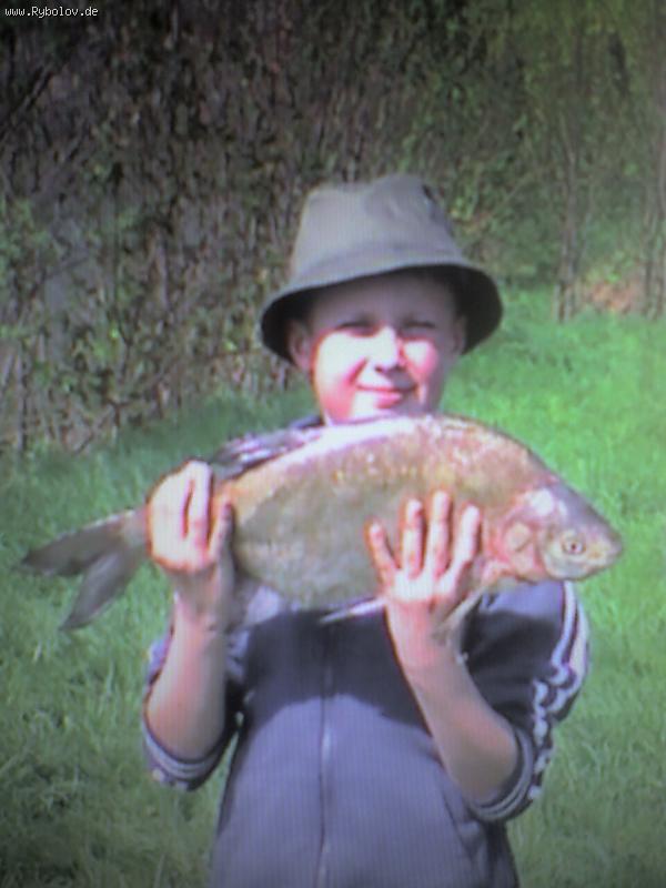 --���� ����. - ������� (����������)