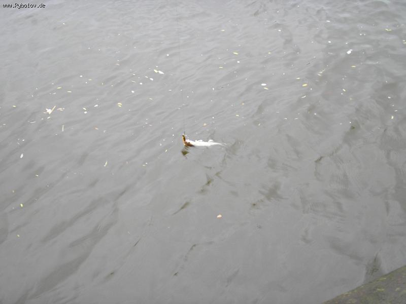 --������� - ������� (����������)