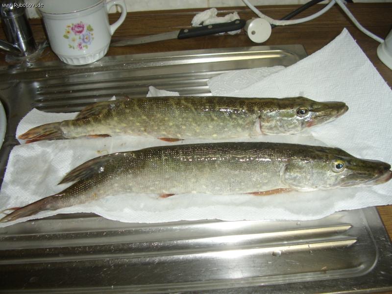 --Щучки 2006 - рыбалка (фотоальбом)
