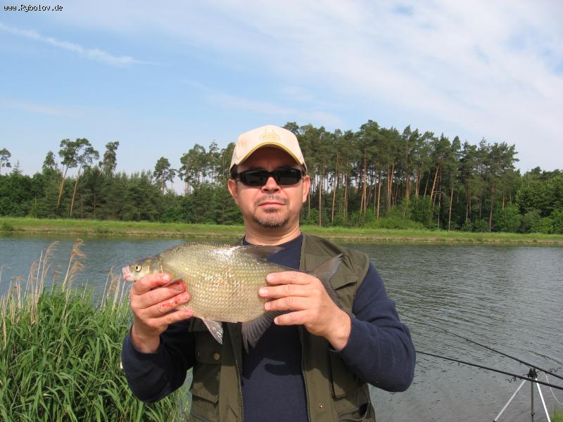 --������ �������� "��������" - ������� (����������)