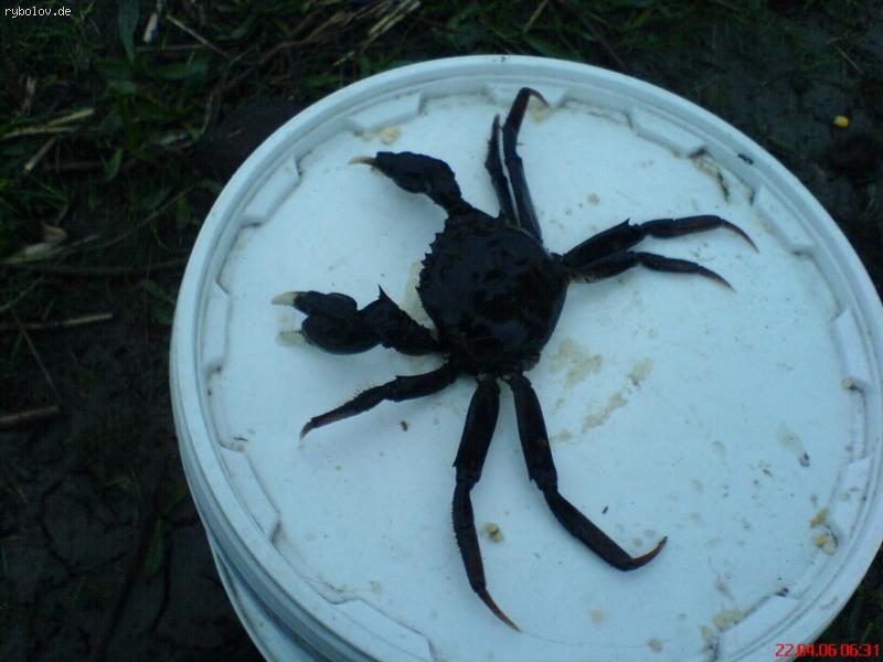 --������ ����� - ������� (����������)