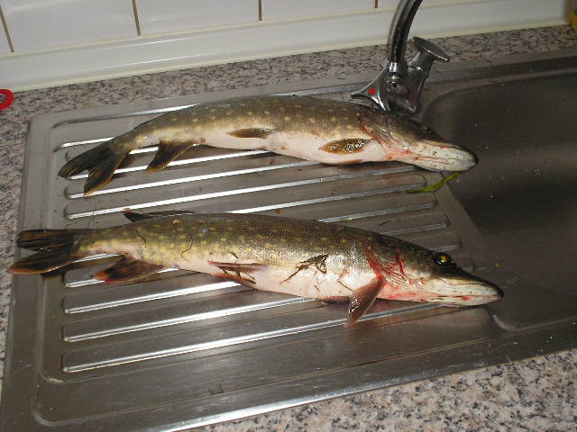 --��� ���������! - ������� (����������)