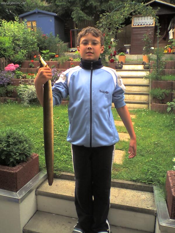 --����� �������.... - ������� (����������)