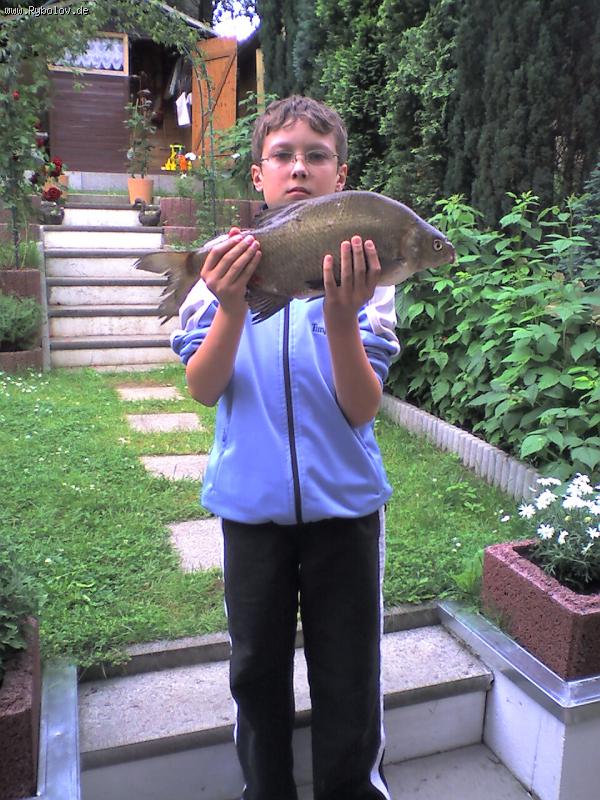 --��� �������� ����� ����. - ������� (����������)