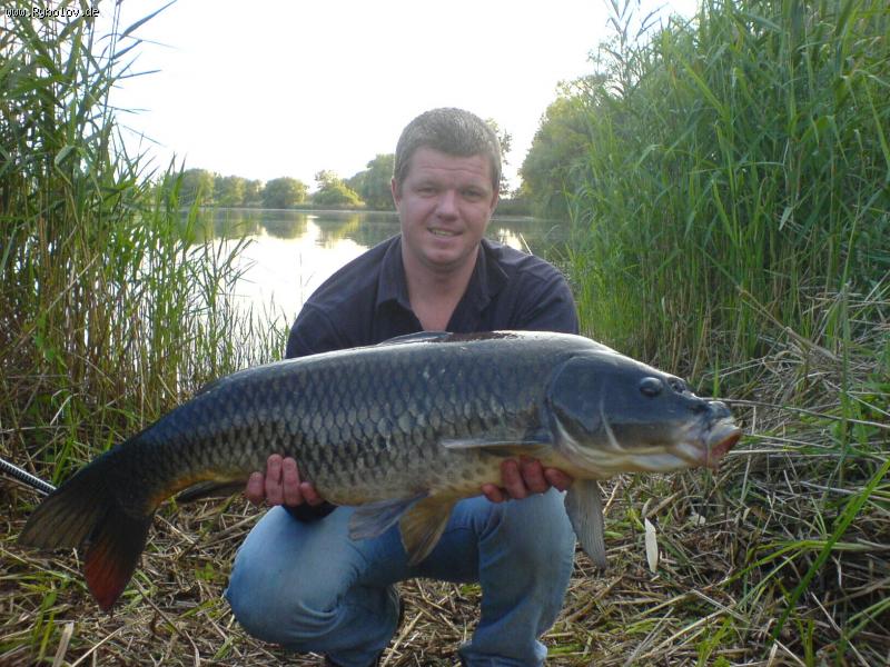 --������ - ������� (����������)