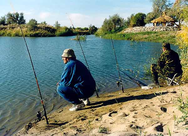 --�������� ���. - ������� (����������)