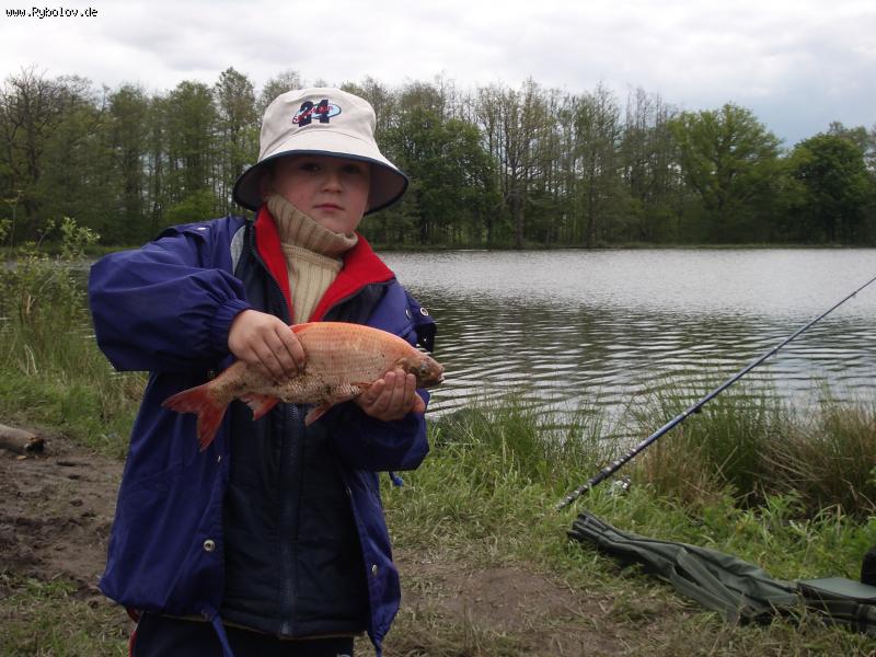 --���������� ��� ��� �� ���� ??? - ������� (����������)