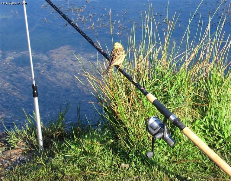 --�� ����������� �������. - ������� (����������)