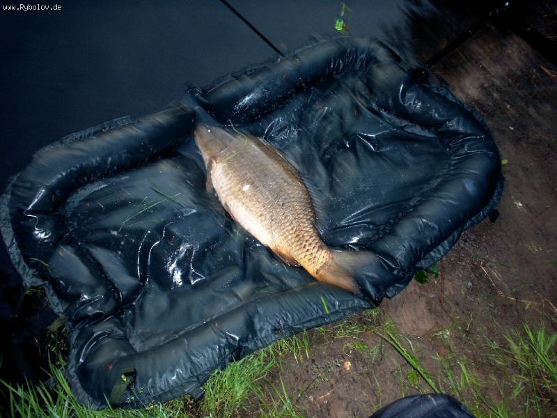 --Domoi... - ������� (����������)