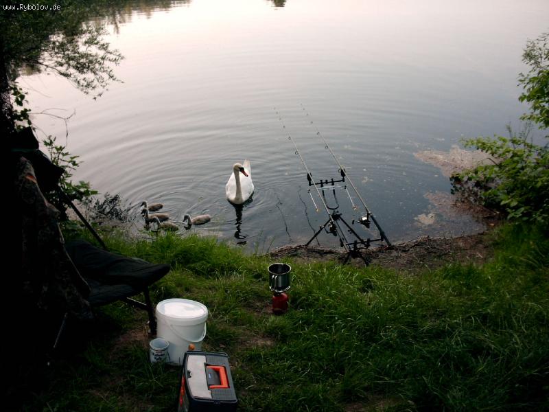 --Kontroler na linii.... - ������� (����������)