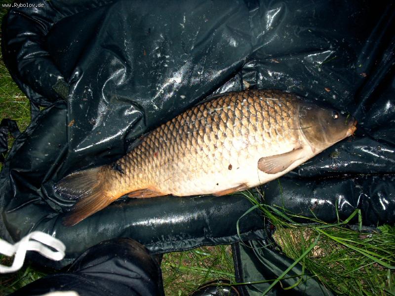 --Odin iz dvuh .Osterfeldsee. - ������� (����������)