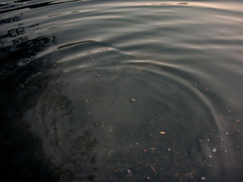 --Nu i poka..... - ������� (����������)