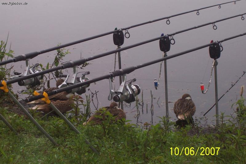 --� �������� ����, - ������� (����������)