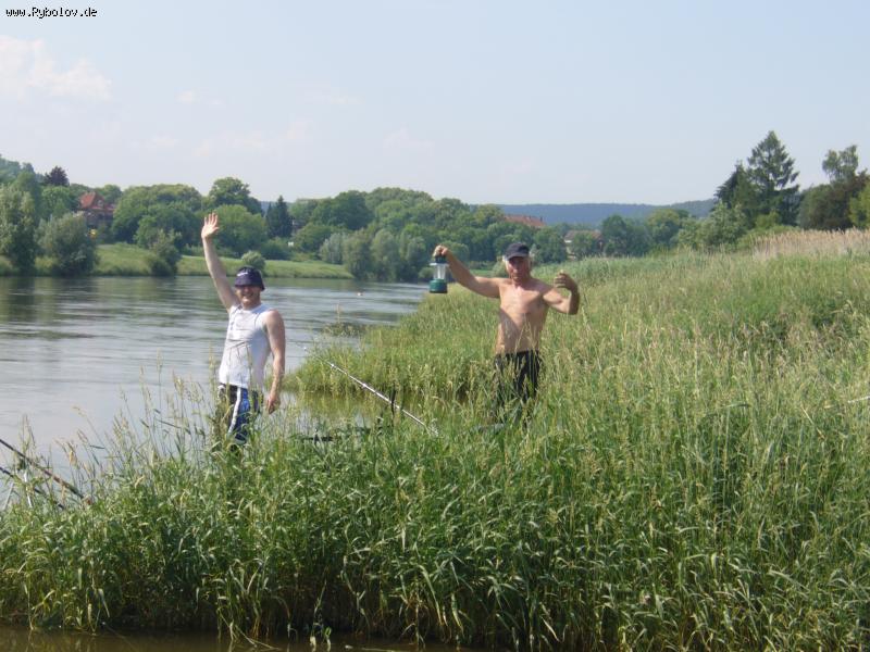 --����������� �������� ���� - ������� (����������)