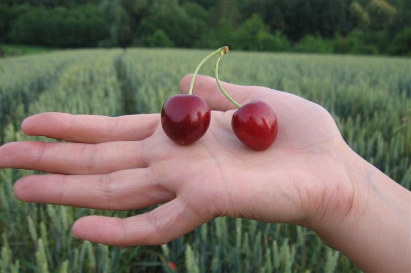 --�����. - ������� (����������)