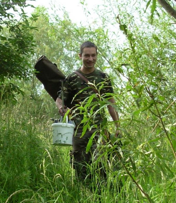 --���� � ������ ����������. - ������� (����������)