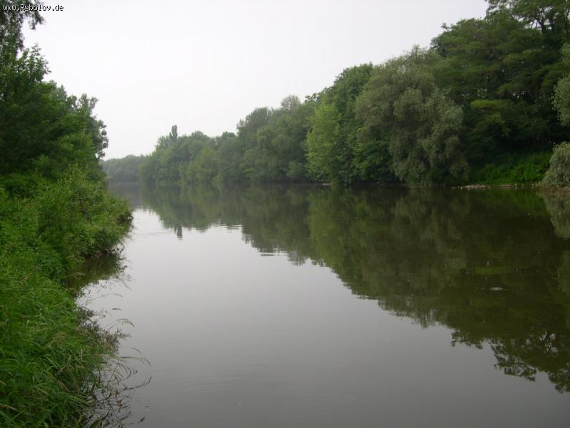 --Saale в Halle - рыбалка (фотоальбом)