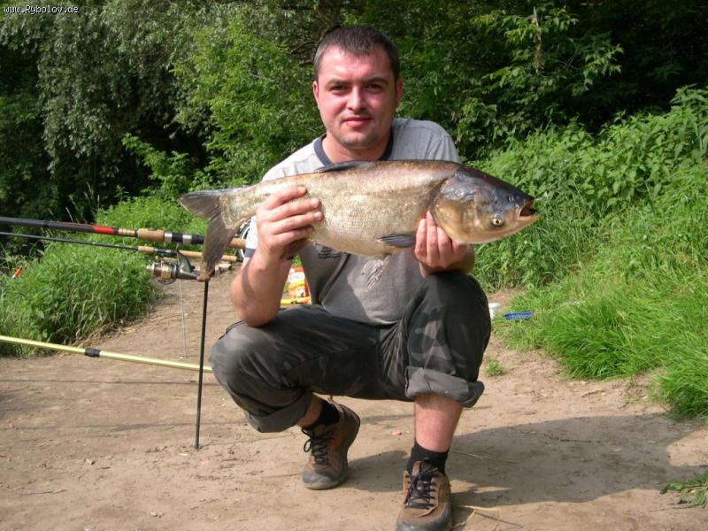 --������ �������� - ������� (����������)