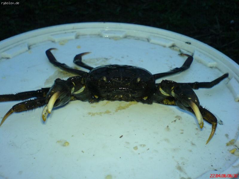 --������ ����� - ������� (����������)