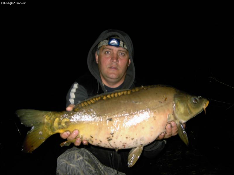 --���� Rems - ������� (����������)