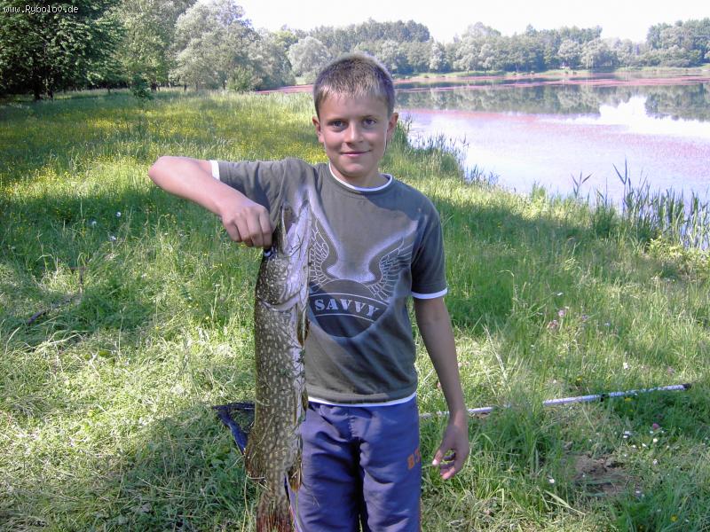 --������� ��������. - ������� (����������)