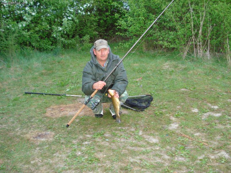 --�������� ���� - ������� (����������)