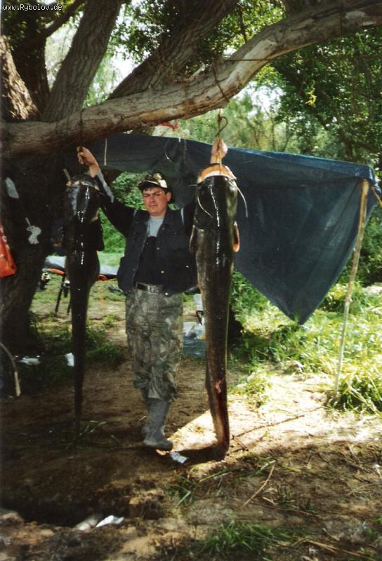 --������ - ������� (����������)