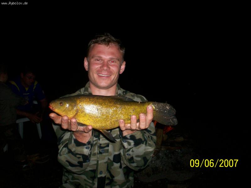 --��������� ����� - ������� (����������)