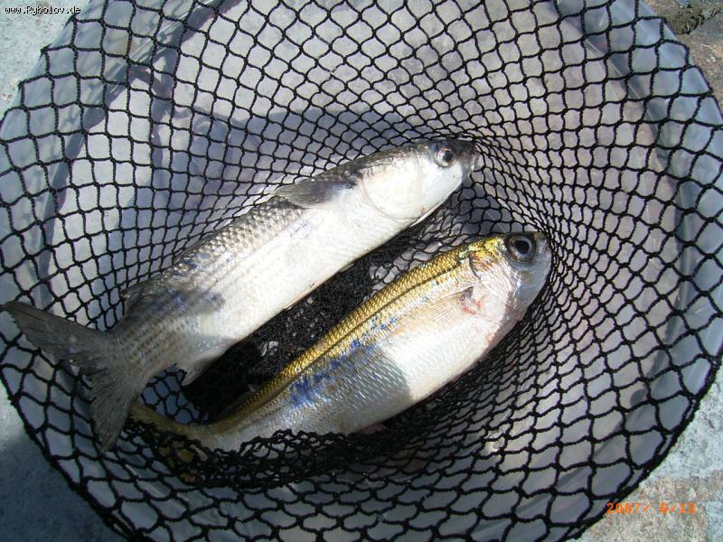 --���������� 2 - ������� (����������)