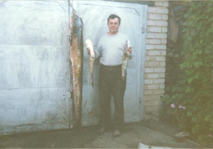 --��� 35 ��. - ������� (����������)