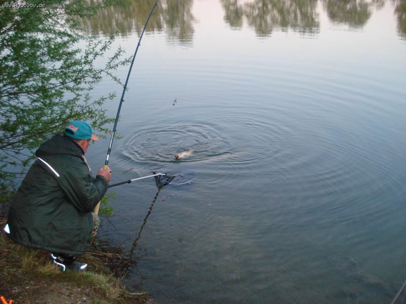 --wot *eto da , tochno" prigolubil" - ������� (����������)