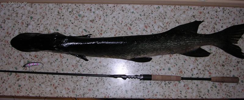 --���� 106�� - ������� (����������)