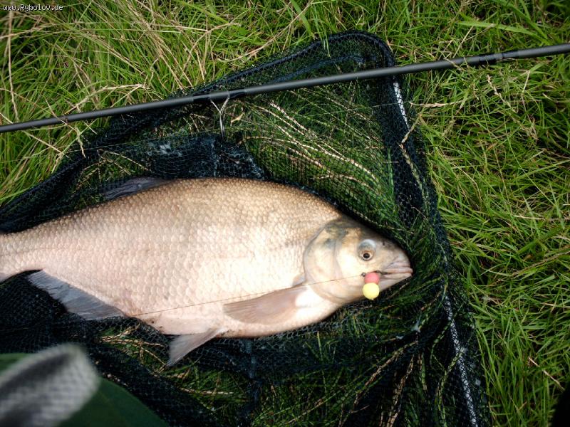 --3,9kg -  ()