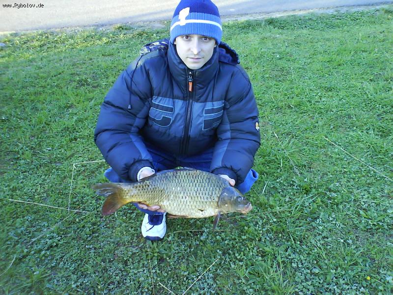 --Karp mit 2.6 kg -  ()
