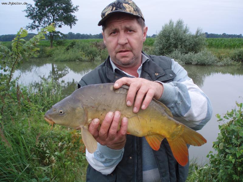 --����! - ������� (����������)