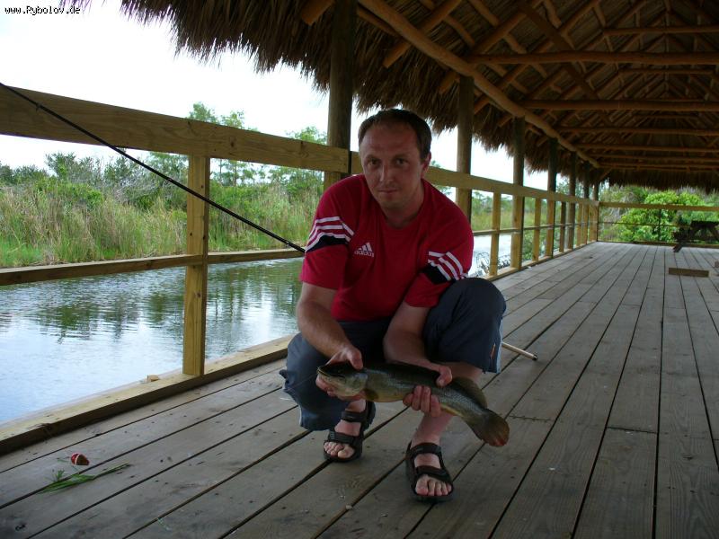 --��� ��� �� ����? - ������� (����������)