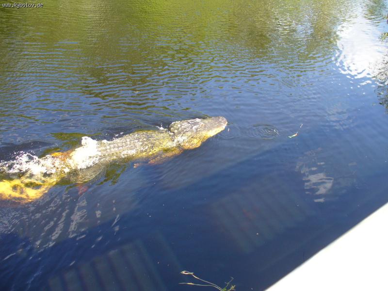 --�������� � ������ �� ��������� - ������� (����������)