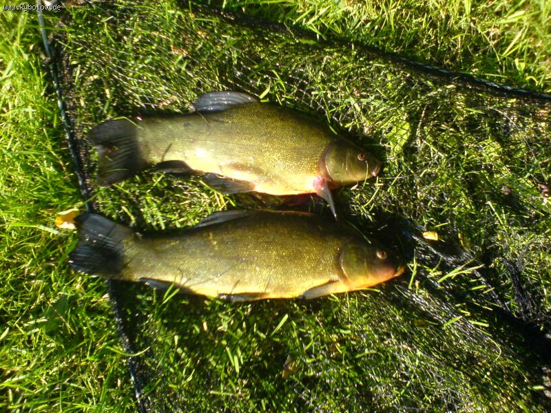 --������!!! - ������� (����������)