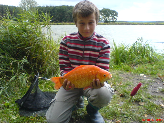 --������� ����� - ������� (����������)